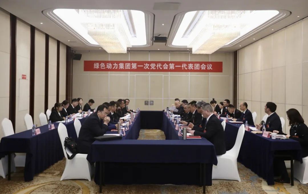 铭刻使命再启程，代表热议“两委”汇报