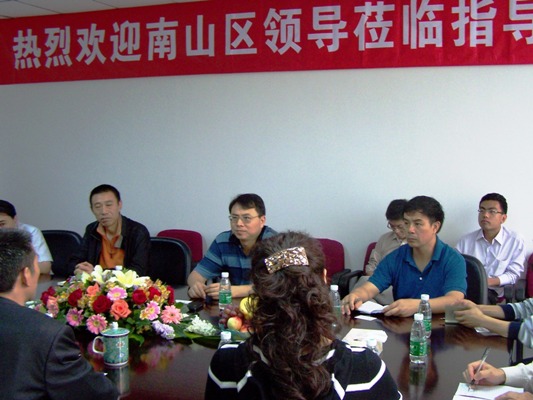 深圳市南山区辅导调研调查BG大游集团集团